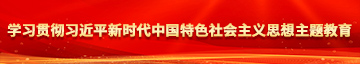 湮裂脣脣学习贯彻习近平新时代中国特色社会主义思想主题教育